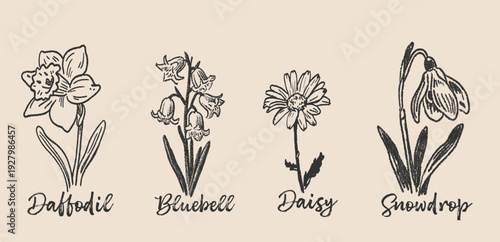 Hand drawn spring flower doodles and botanical sketches for floral design and garden concepts