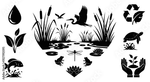 Black and white illustrations of wetland ecosystem elements and conservation symbols.