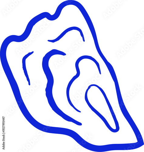 Oyster Shell Line Drawing