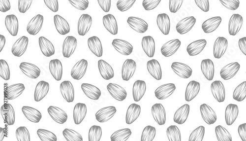 Sunflower Seed Pattern. Seamless Engraved Motif. Hand Drawn Vector. Monochrome Botanical Background.