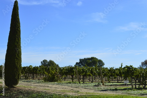 Fazenda com céu azul