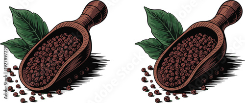 Two identical vintage style illustrations of black peppercorns in a wooden scoop with green leaves for culinary spice packaging and food design