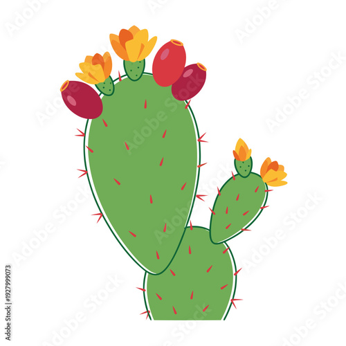 Colorful prickly pear cactus with vibrant yellow blooms and ripe red fruits on green pads against white background