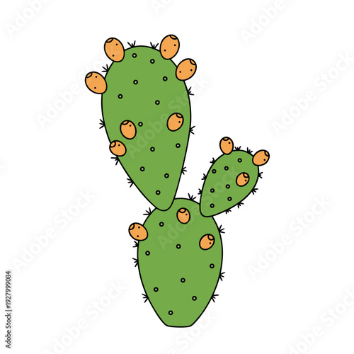 Colorful prickly pear cactus with orange fruits and green pads on white background for botanical art and nature enthusiasts