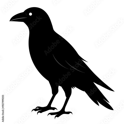 Silhouette of a black raven in profile displaying intricate feathering against a white background with bold outline and distinctive beak