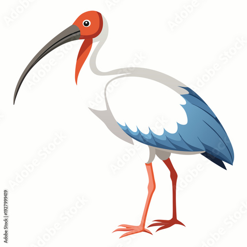 Elegant ibis with long beak and red head displaying graceful posture on white background in detailed digital artwork