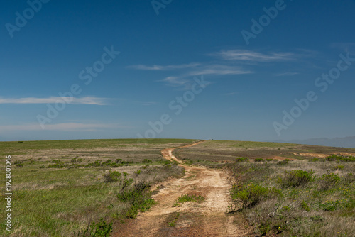 Smith Highway Crosses The Hills Of Santa Rosa Island