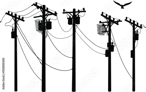 Silhouette of utility poles with transformers, insulators, crossarms, power lines, bird in flight, electricity distribution, urban infrastructure, high voltage grid