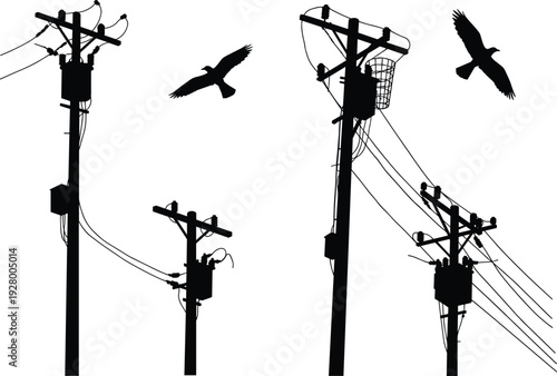 Silhouette of utility poles with transformers, insulators, crossarms, maintenance basket, flying birds, power lines, electricity distribution, urban infrastructure, high voltage grid