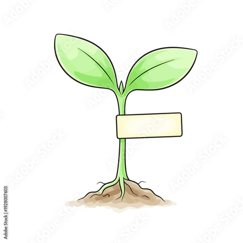 Seedling with two green leaves and empty label for identification  