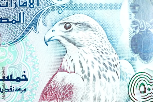 Close-up of United Arab Emirates Currency: AED Banknotes and Dirham Coins Scattered on Surface