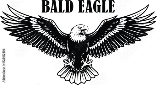 A majestic bald eagle in flight, wings spread wide, soaring through the sky with a powerful gaze, viewed from below, illustrating freedom and strength