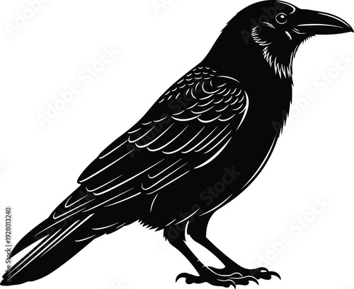 Black raven bird vector illustration, isolated crow silhouette, corvus profile, gothic wildlife element, dark feathered avian animal on white, 180 characters.