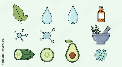 Natural Skincare Ingredients: Leaf Water Droplets Molecule Bottle Mortar Cucumber Avocado Flower.