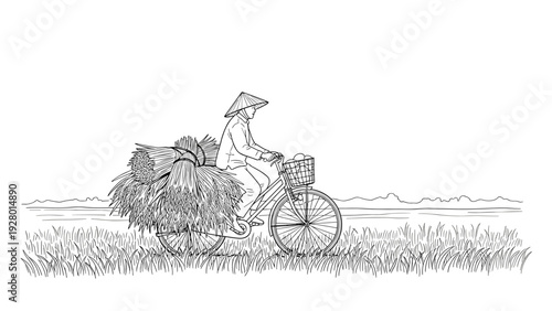 farmer riding bicycle carrying harvested rice bundles hand drawn line art illustration