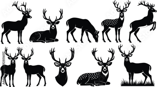 Deer silhouettes collection with stag and buck in various poses vector illustration isolated on white background