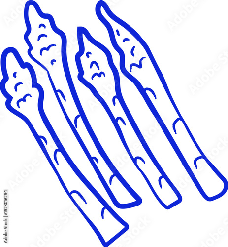 Asparagus Bunch Hand Drawn Doodle