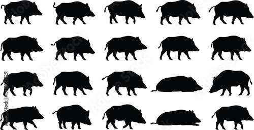 Wild boar animal silhouettes collection, walking standing lying poses, hunting wildlife pattern, black vector icons, cad drawing flat vector illustration