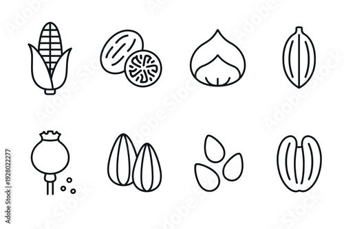 hand drawn set of seed and nut icons in outline style for healthy food design