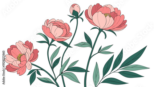 bouquet of pink tulips