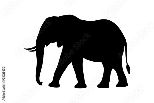 Silhouette of elephant with trunk down.