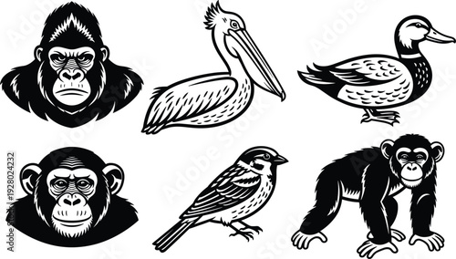 Black and white stylized illustrations of gorilla, chimpanzee, pelican, duck, and sparrow showcasing wildlife art, educational design, and creative animal artwork