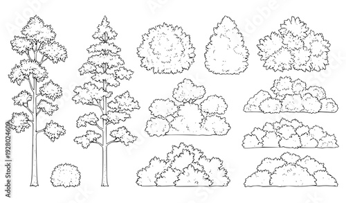 Classic vintage woodland trees and bushes vector illustration set for landscape design