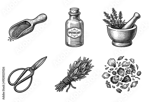 Vintage apothecary collection featuring hand drawn engraving style illustrations of herbal medicine tools and dried botanicals