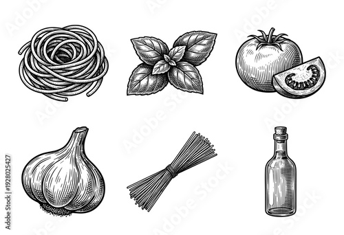 Vintage hand drawn engraving style illustration of Italian pasta ingredients including spaghetti, basil, tomato, garlic, and olive oil