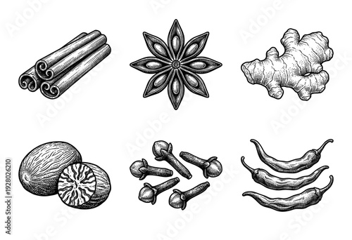 Vintage engraving style collection of aromatic spices including cinnamon sticks star anise ginger root nutmeg cloves and chili peppers
