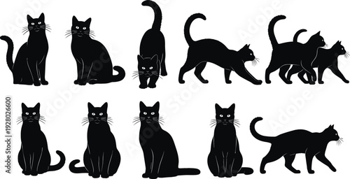 Cat Silhouette Set with Sitting, Walking, Stretching and Playing Poses, Black Domestic Feline Pet Vector Collection