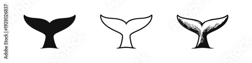 Whale Tail or Mermaid Tail Icon Set