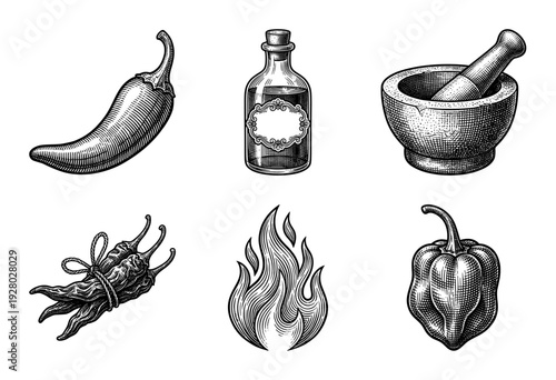Vintage woodcut style collection of spicy chili peppers, hot sauce bottle, mortar and pestle, and flame icons for culinary design.