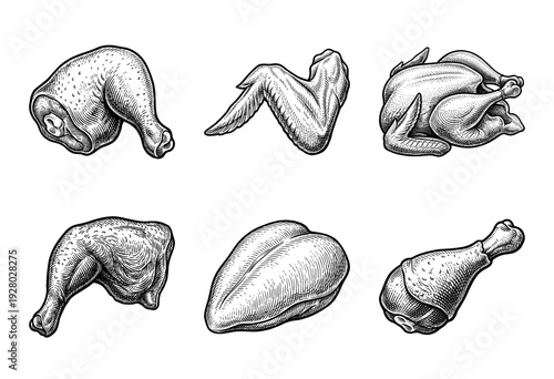Vintage woodcut style illustration set of raw chicken parts including whole bird, breast, wing, drumstick, and leg quarters