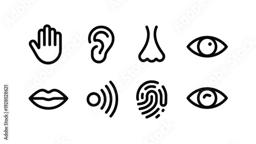 Simple line icons depicting human senses body parts and identification features