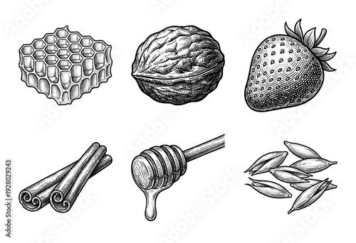 Vintage engraving style collection of healthy food ingredients including honeycomb walnut strawberry cinnamon honey dipper and oats on a plain white background