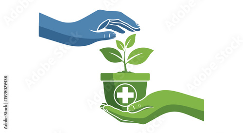 Protecting a small plant with a medical cross on the pot