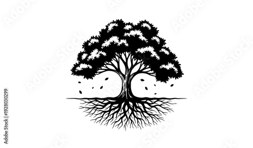 Bare and Leafy Tree with Exposed Roots Silhouette – Environmental Concept Vector