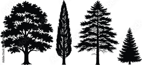 Tree Silhouette Collection with Pine, Fir, Cypress and Deciduous Trees, Black Forest Nature Vector Set for Landscape Design
