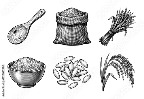 Vintage engraving style collection of rice harvest elements featuring cereal grains, wooden scoop, burlap sack, full bowl, and paddy stalks