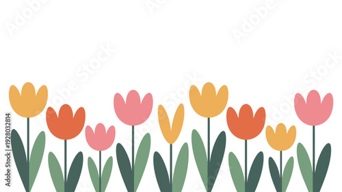 Colorful Tulip Flowers Illustration.
