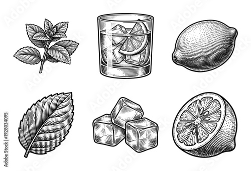 Set of hand drawn engraving style illustrations featuring mint leaves, lemon slices, ice cubes, and a refreshing cocktail drink