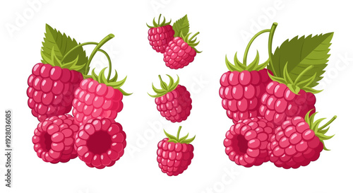 A vibrant illustration of several ripe raspberries with green leaves
