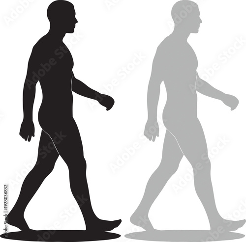 Vector graphic illustration of two paint brushes side by side in black and gray tones on a clean white background perfect for design and art projects