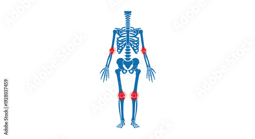 A blue human skeleton is depicted standing upright with its elbows, shoulders, and knees highlighted by red circles on a white background.