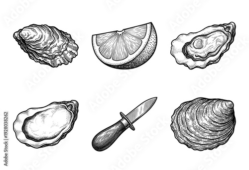 Vintage engraving style collection of fresh oysters with lemon wedge and shucking knife isolated set