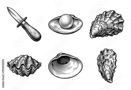 Vintage woodcut style collection of oyster shells and shucking knife illustrations