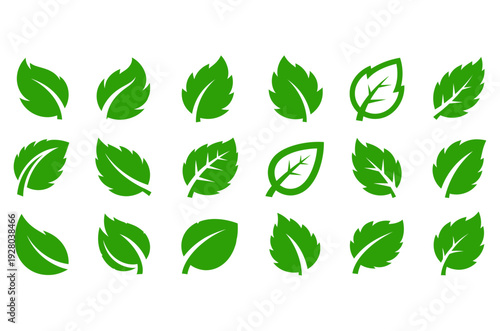 Green mint leaf vector icons set for organic food and tea logo