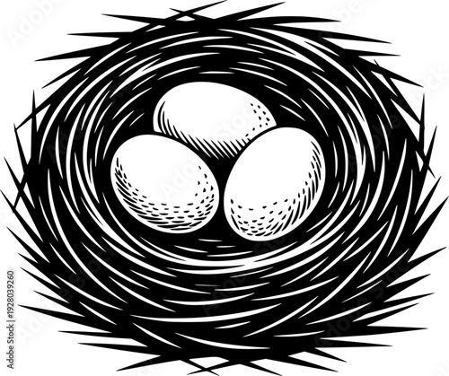 Black and White Stylized Bird Nest with Eggs White Background