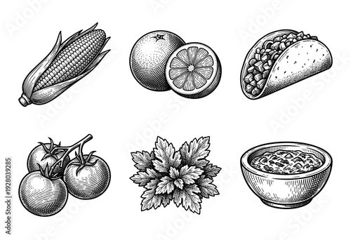 Vintage woodcut style collection of Mexican food ingredients featuring corn taco lime tomatoes cilantro and salsa bowl
